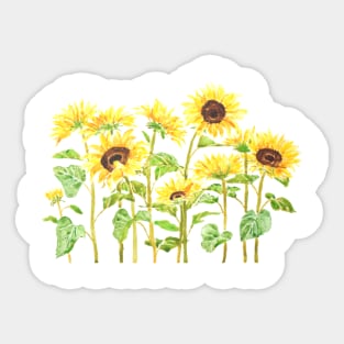yellow sunflower painting 2020 version 2 watercolor painting Sticker